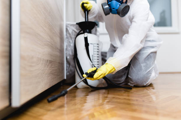 Best Cockroach Control Services  in North Vacherie, LA