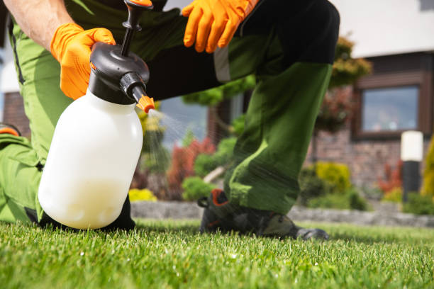 Best Termite Control Services  in North Vacherie, LA