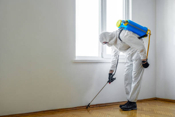 Best Emergency Pest Control  in North Vacherie, LA