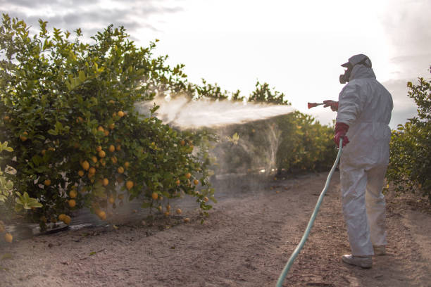 Best Best Pest Control Companies  in North Vacherie, LA