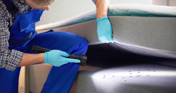 Best Local Pest Control Services  in North Vacherie, LA