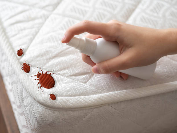 Best Mosquito Control Services  in North Vacherie, LA