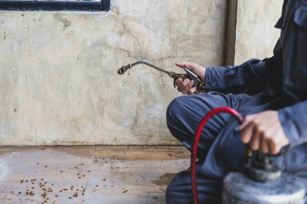 Best Best Pest Control Companies  in North Vacherie, LA