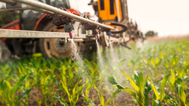Best Commercial Pest Control Services  in North Vacherie, LA